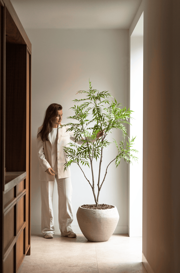 Bamboe boom 180cm