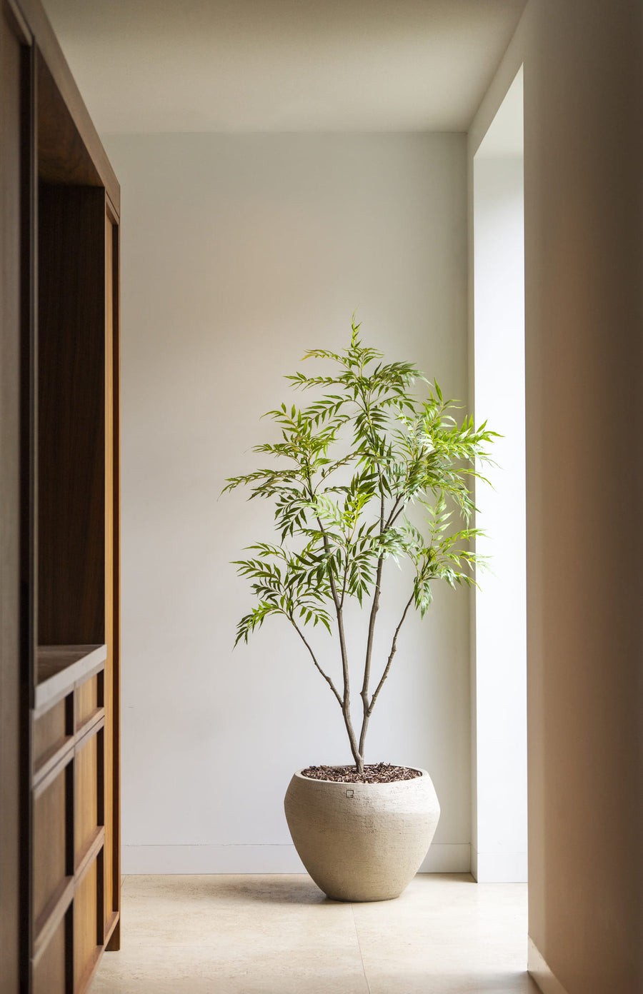 Bamboe boom 180cm