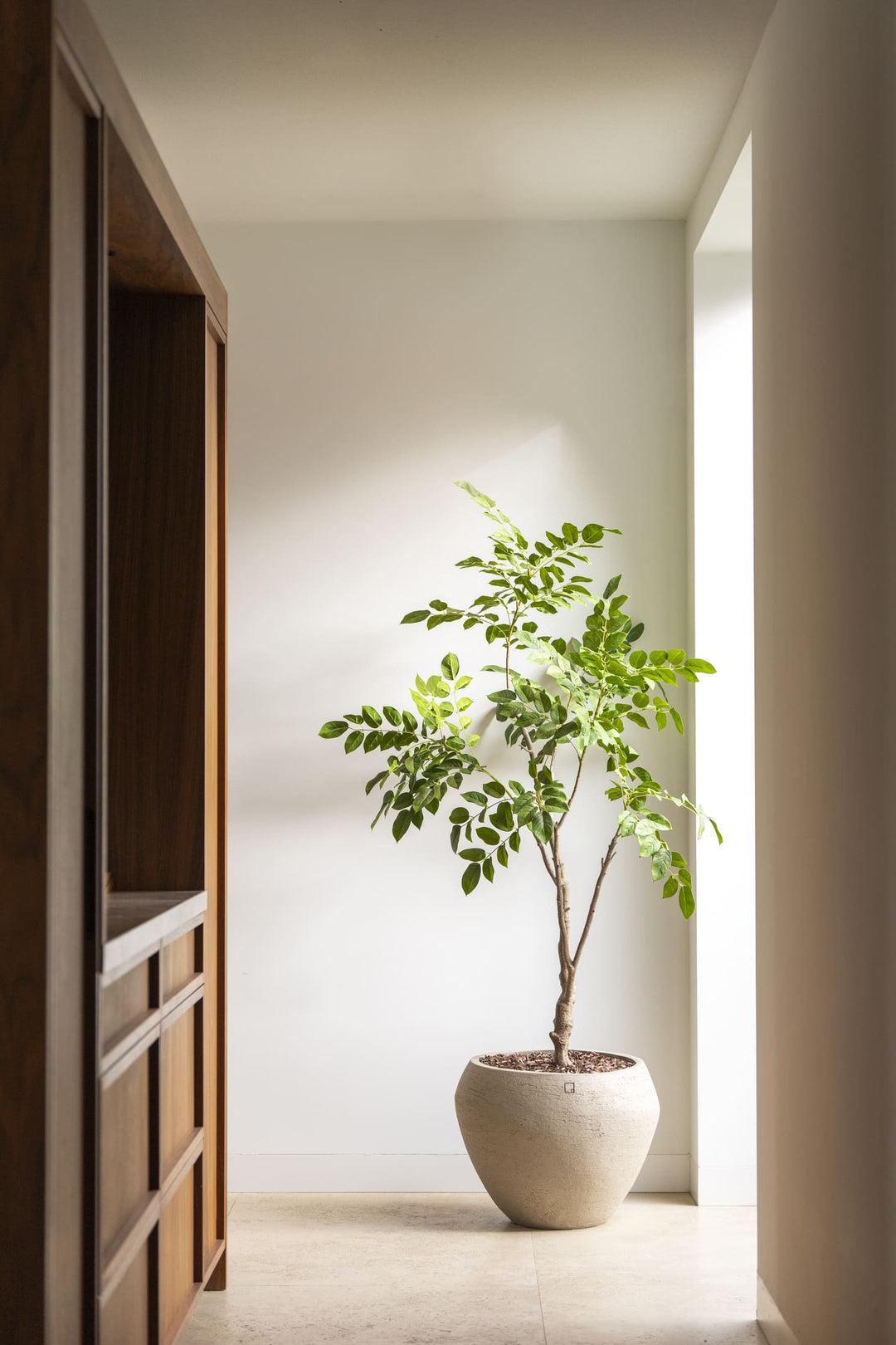 Sandalwood boom 180cm