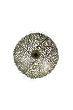 Light & Living Wandlamp Sinula Goud Ø39cm