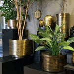 Pre order Uyuni Pot Aged Brass Tijdloos Design