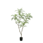 Bamboe boom 180cm