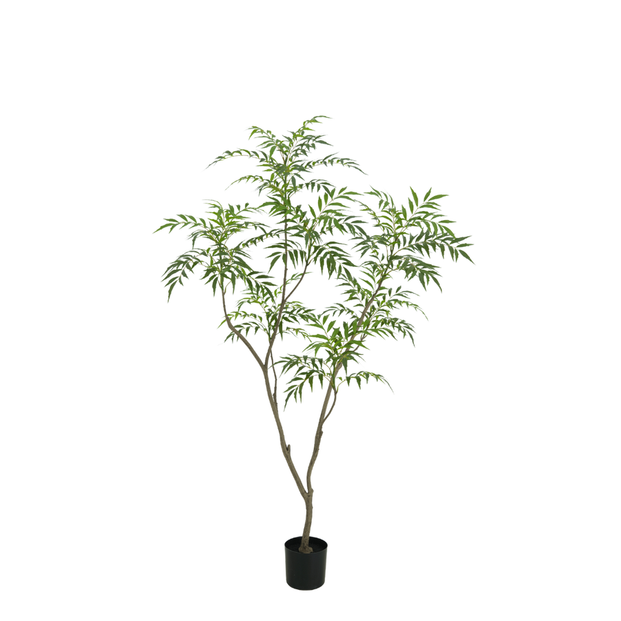 Bamboe boom 180cm