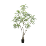 Bamboe boom 240cm