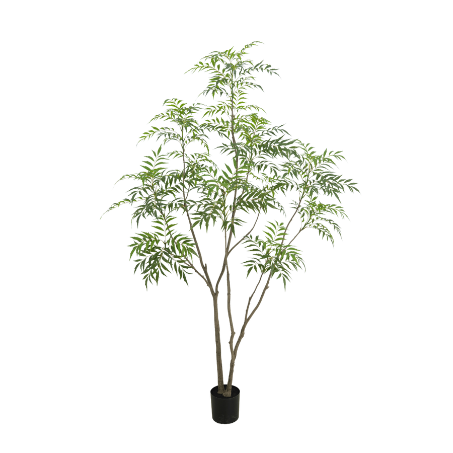 Bamboe boom 240cm