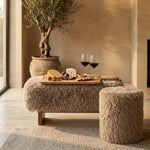Serveerplank   Mangohout 70 x 35 cm - met Handvat