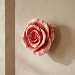 Wand bloem roos