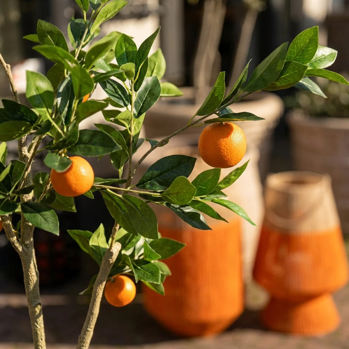 Sinaasappelboom – Realistische Kunstplant