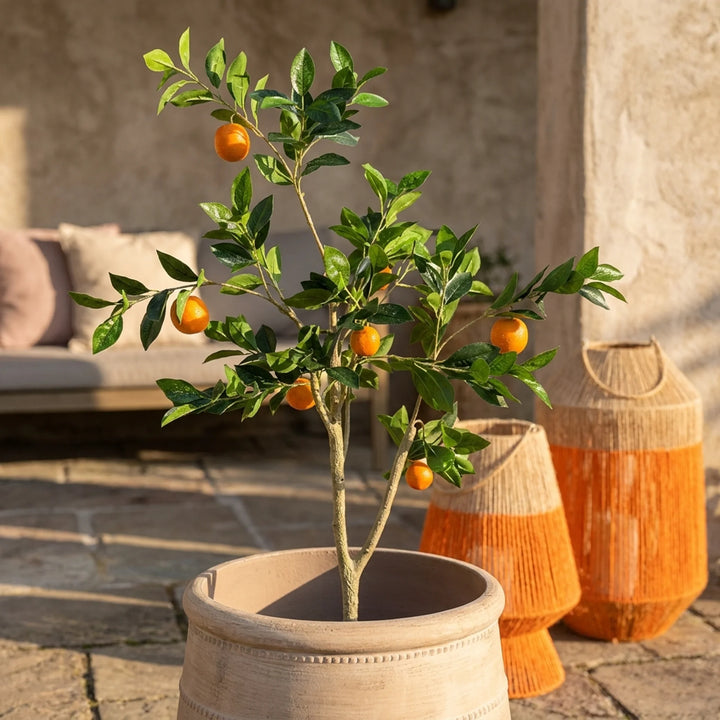 Sinaasappelboom – Realistische Kunstplant