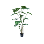 Monstera boom 150cm