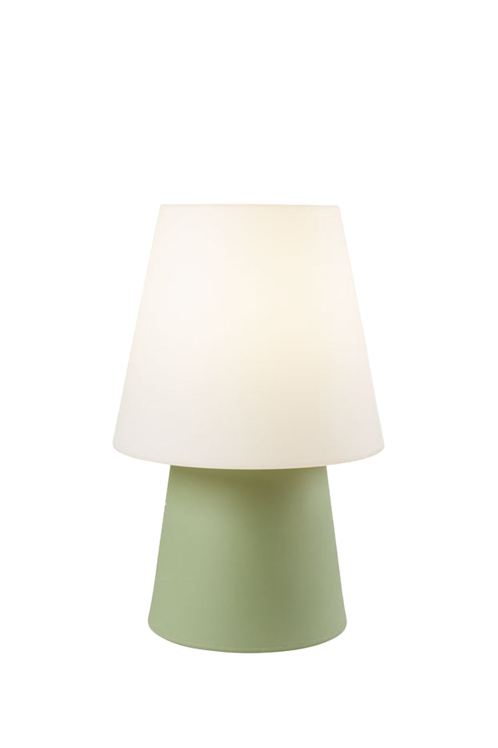 No.1 60cm Mint
