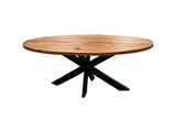 Ovale Eettafel – Houten Blad op Zwart Metalen Spinpoot