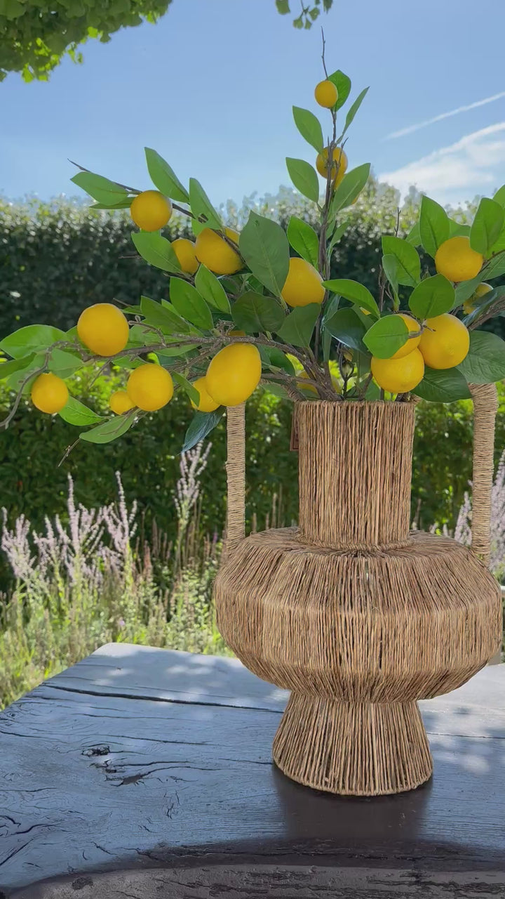 Rotan Rieten Vaas met Handvatten Landelijk Decoratie