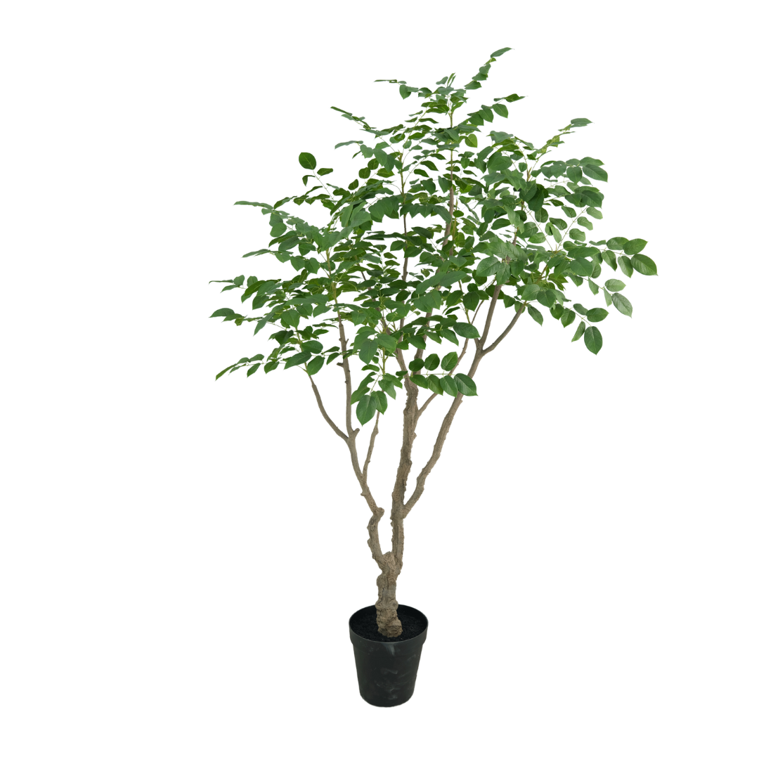 Sandalwood boom 240cm