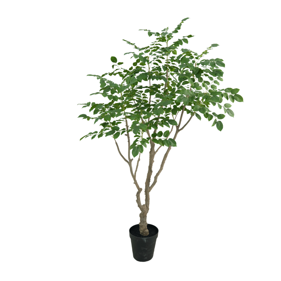 Sandalwood boom 240cm
