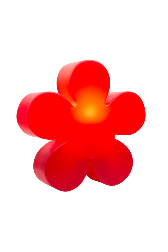 Shining Flower Rood