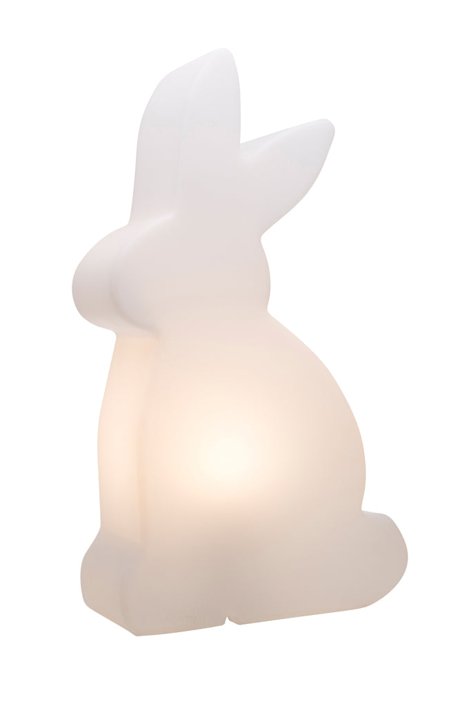Shining Rabbit Wit