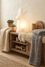 Shining Rabbit LED Decoratielamp 50cm Wit