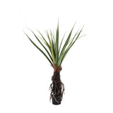 Tree Green Pandanus tree in pot 130x130x150cm PTMD