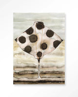 Eagle Ray - Moderne Wanddecoratie | Artprint, Glass Art & Wandkleed