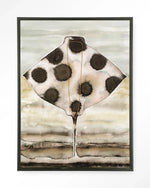 Eagle Ray - Moderne Wanddecoratie | Artprint, Glass Art & Wandkleed