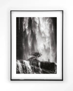 Germinate - Moderne Wanddecoratie | Artprint, Glass Art & Wandkleed