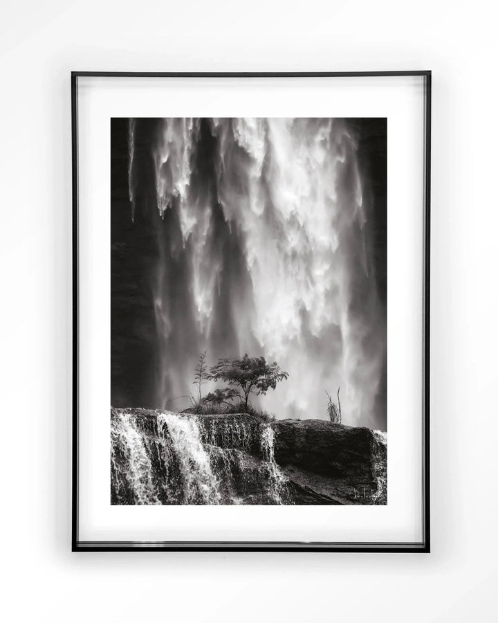Germinate - Moderne Wanddecoratie | Artprint, Glass Art & Wandkleed