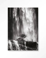 Germinate - Moderne Wanddecoratie | Artprint, Glass Art & Wandkleed