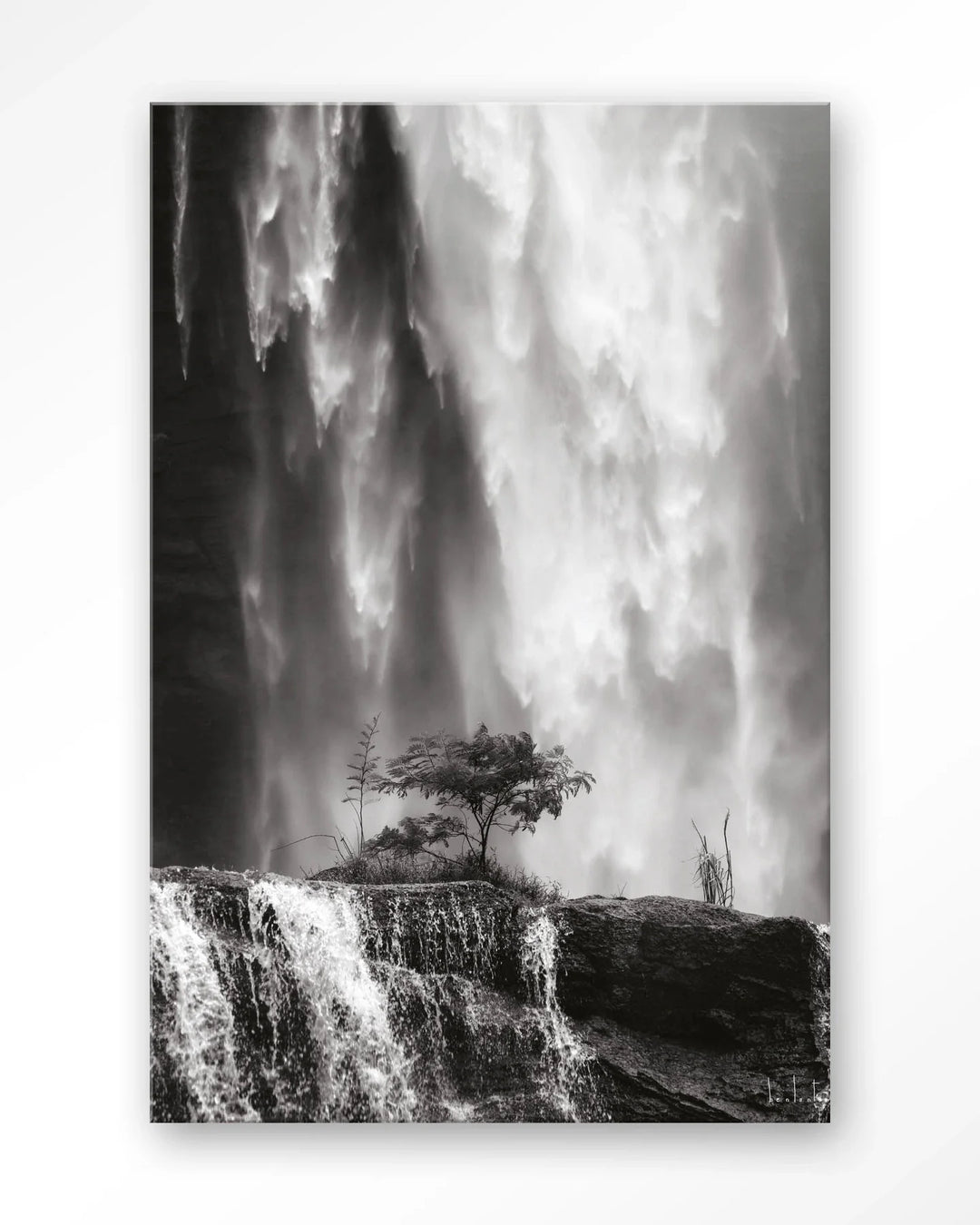 Germinate - Moderne Wanddecoratie | Artprint, Glass Art & Wandkleed