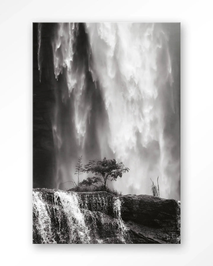 Germinate - Moderne Wanddecoratie | Artprint, Glass Art & Wandkleed