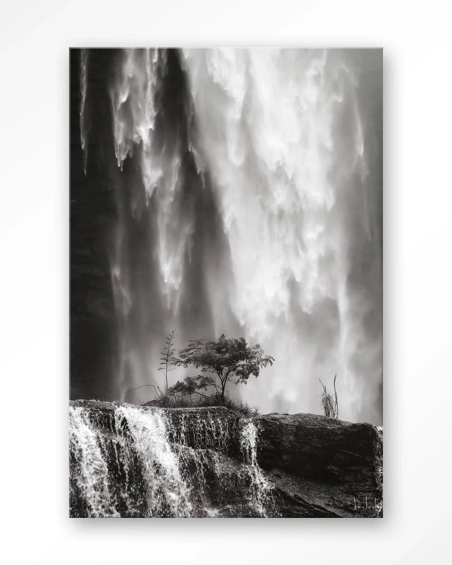 Germinate - Moderne Wanddecoratie | Artprint, Glass Art & Wandkleed