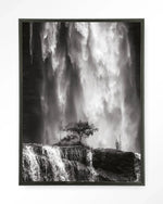 Germinate - Moderne Wanddecoratie | Artprint, Glass Art & Wandkleed