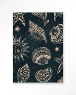 Seashells Midnight - Moderne Wanddecoratie | Artprint, Glass Art & Wandkleed