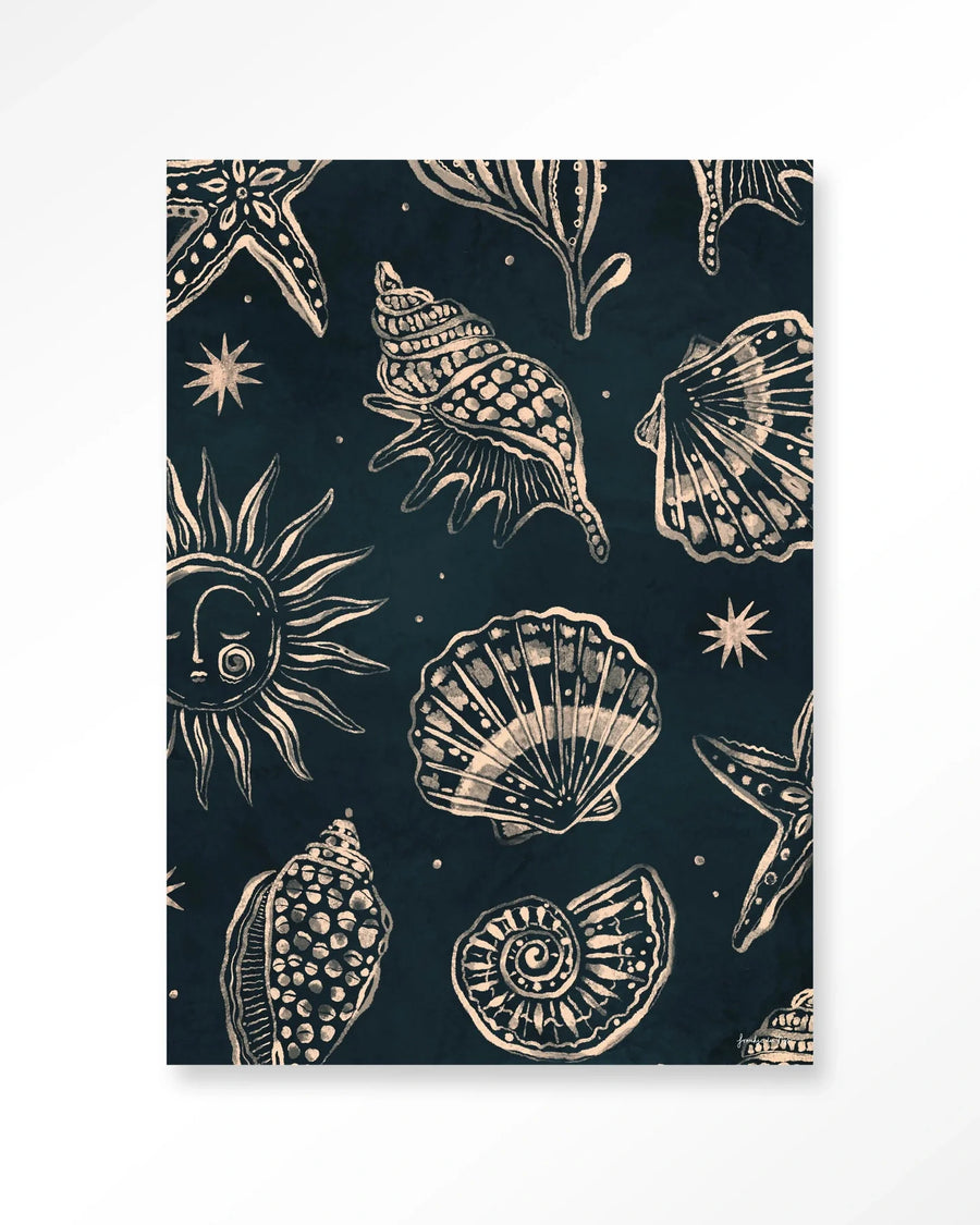 Seashells Midnight - Moderne Wanddecoratie | Artprint, Glass Art & Wandkleed