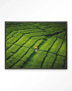 Tote pengalengan - Moderne Wanddecoratie | Artprint, Glass Art & Wandkleed