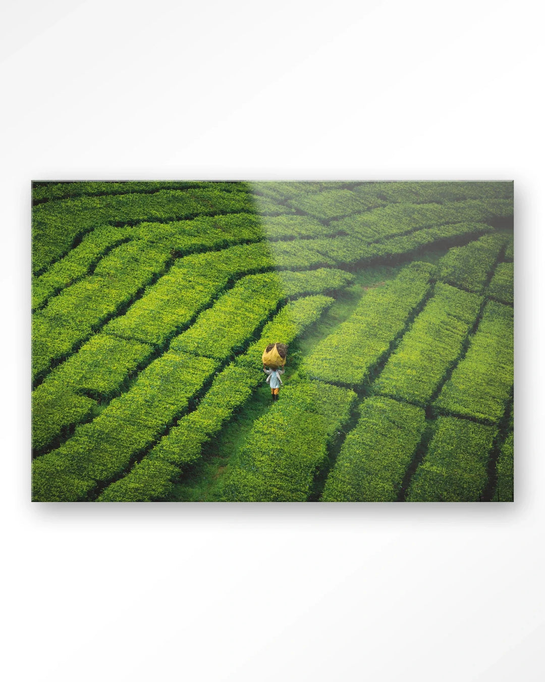 Tote pengalengan - Moderne Wanddecoratie | Artprint, Glass Art & Wandkleed