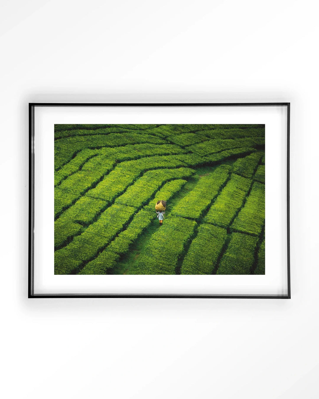 Tote pengalengan - Moderne Wanddecoratie | Artprint, Glass Art & Wandkleed