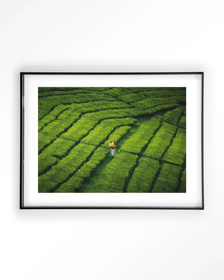 Tote pengalengan - Moderne Wanddecoratie | Artprint, Glass Art & Wandkleed