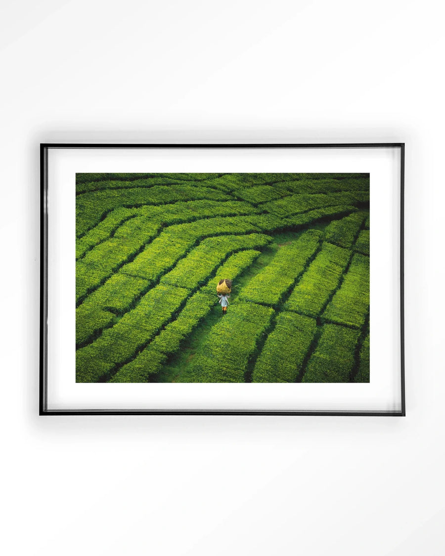 Tote pengalengan - Moderne Wanddecoratie | Artprint, Glass Art & Wandkleed