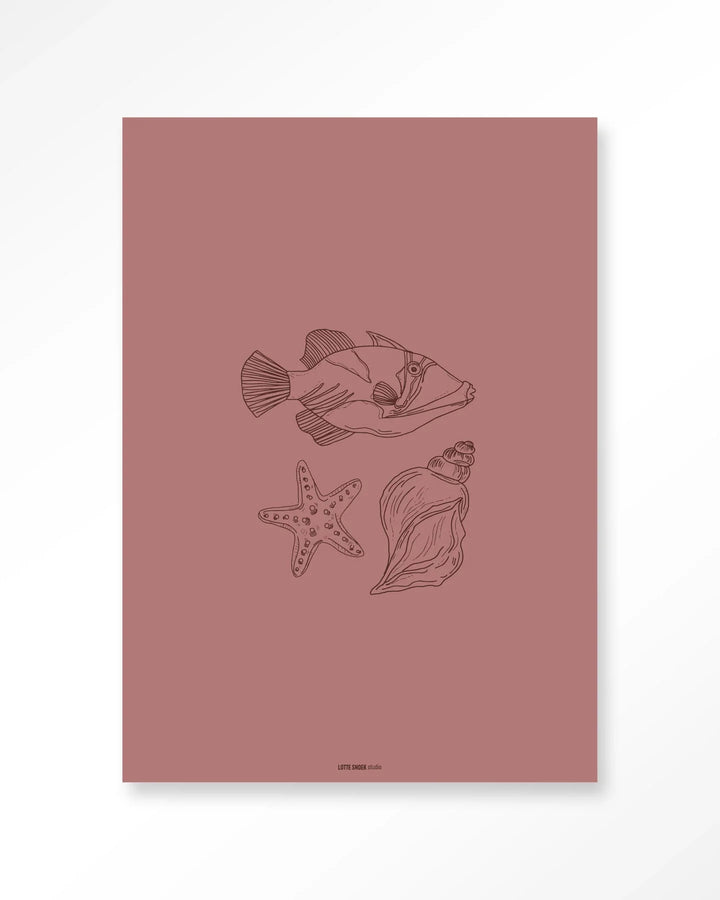 Tres Pisces - Moderne Wanddecoratie | Artprint, Glass Art & Wandkleed