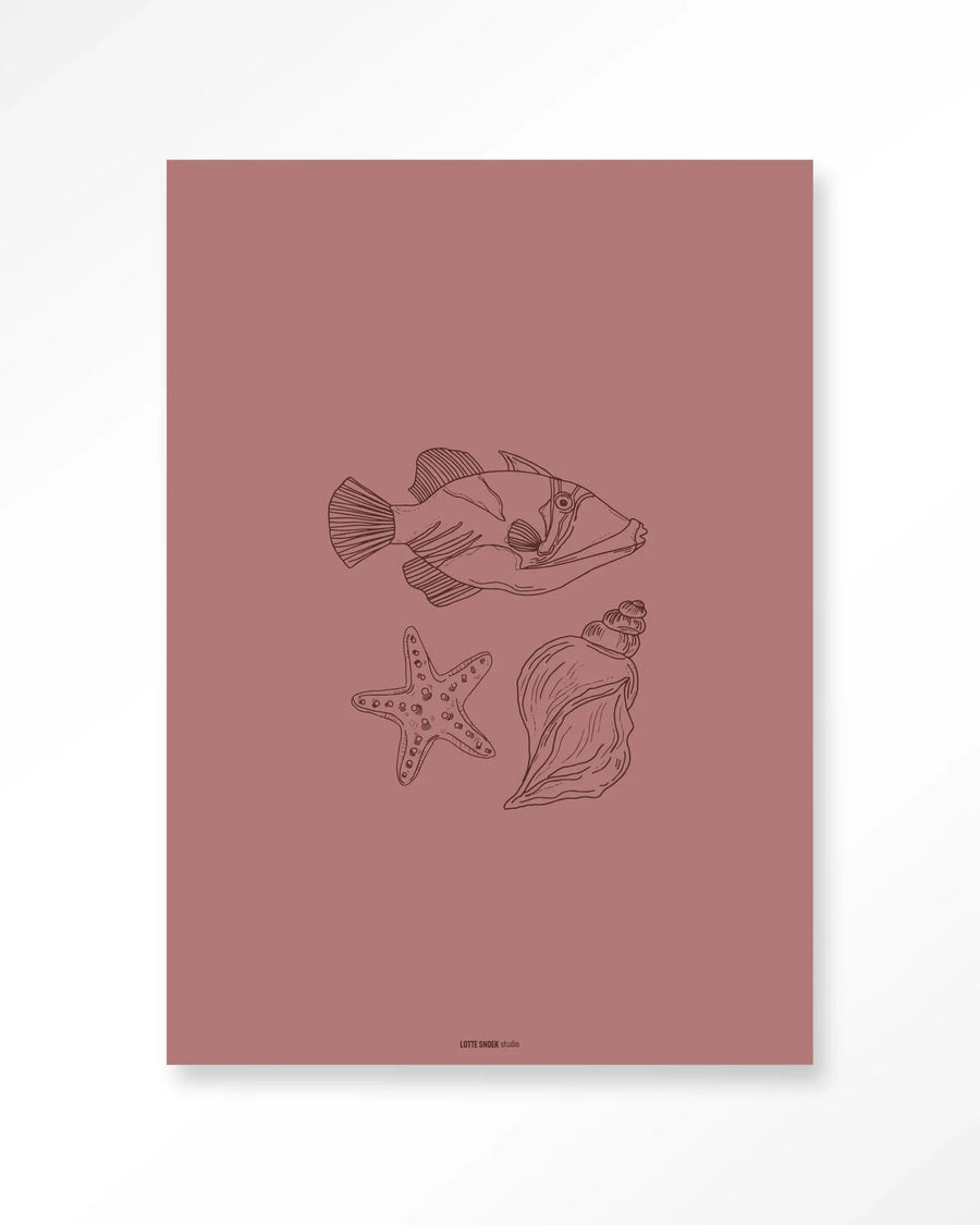 Tres Pisces - Moderne Wanddecoratie | Artprint, Glass Art & Wandkleed