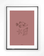 Tres Pisces - Moderne Wanddecoratie | Artprint, Glass Art & Wandkleed