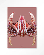 Villo Donus - Moderne Wanddecoratie | Artprint, Glass Art & Wandkleed
